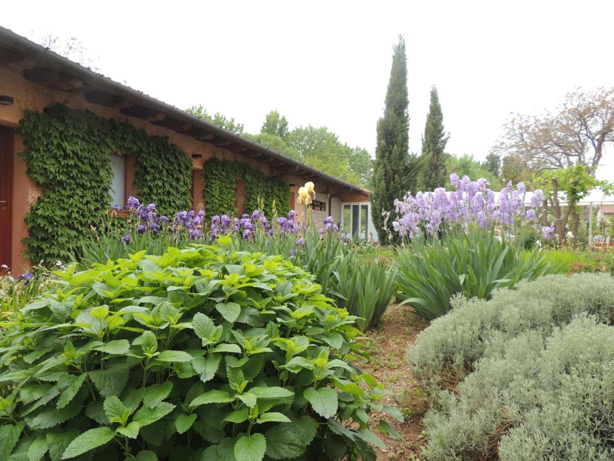 Resort Villa Manin Passariano Extérieur photo